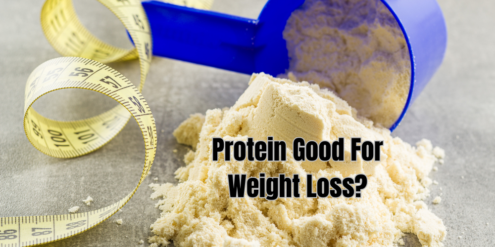A scoop of protein powder with a tape measure next to it with the words is protein good for weight loss?