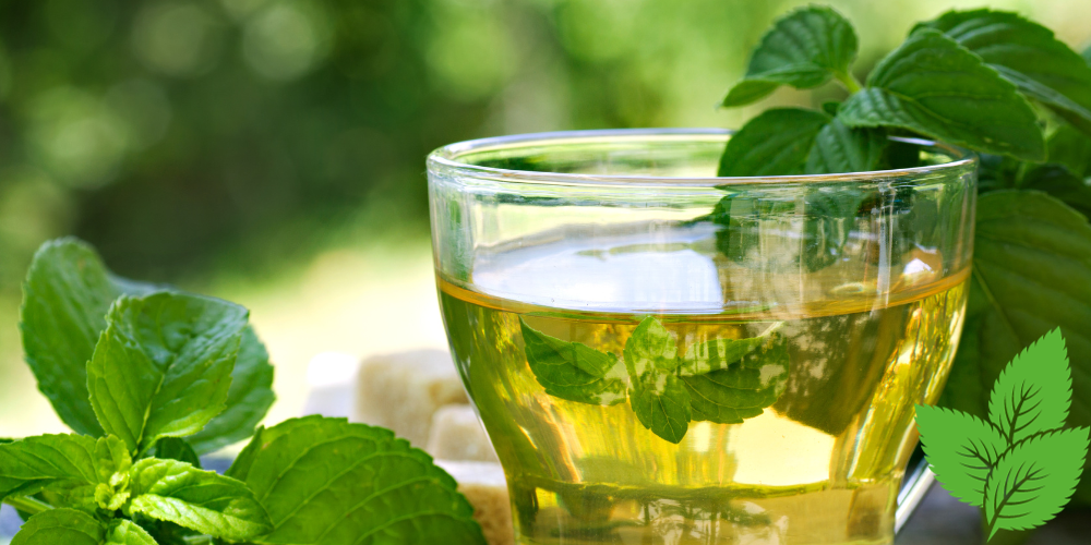a pic of green tea with mint leaves.